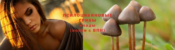 мдпв Фёдоровский